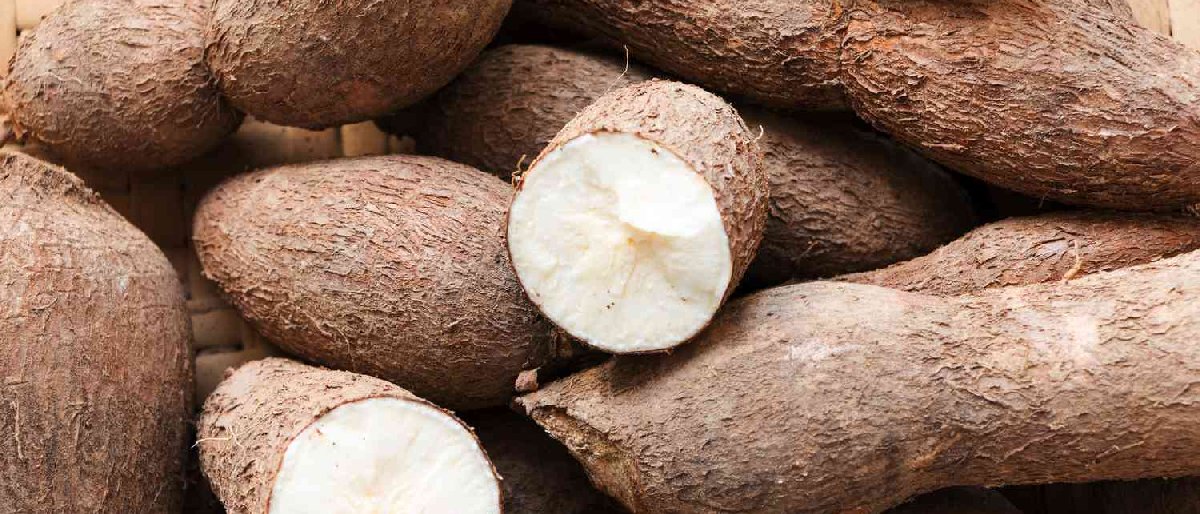 5 Health Benefits of Tapioca You Probably Never Knew