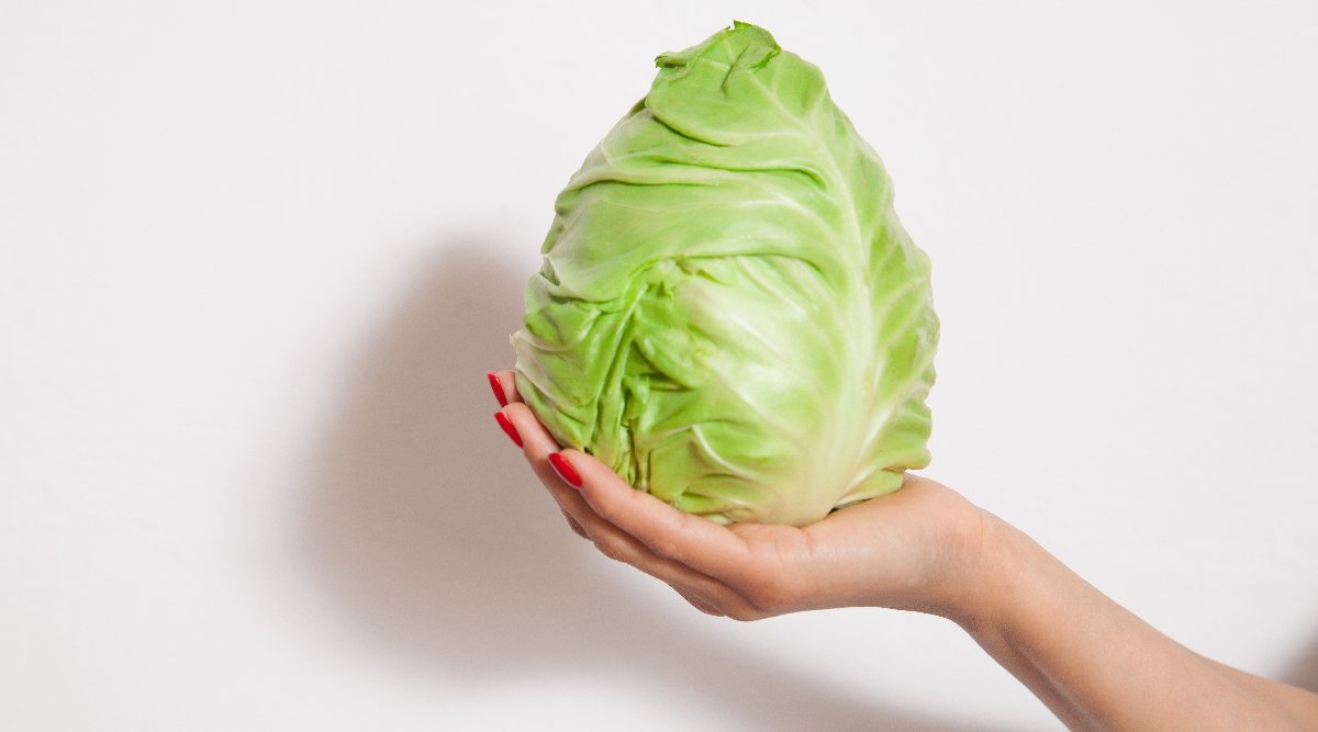 Eat More Cabbage – 5 Health Benefits You Should Know About Eat More Cabbage – 5 Health Benefits You Should Know About