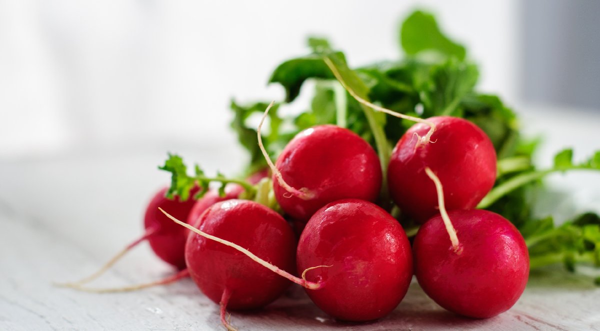 4 Amazing Benefits & Reasons to Eat More Radishes 4 Amazing Benefits & Reasons to Eat More Radishes