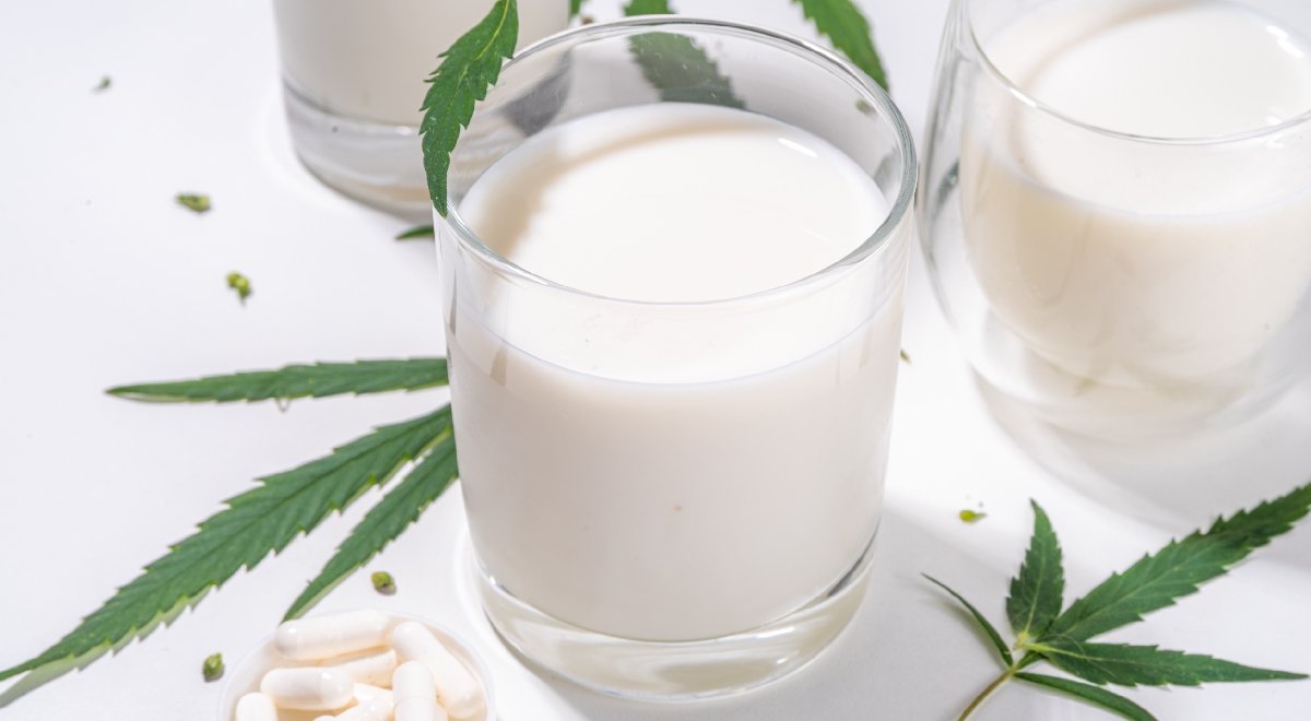 What is Hemp Milk & What are the Benefits? What is Hemp Milk & What are the Benefits?