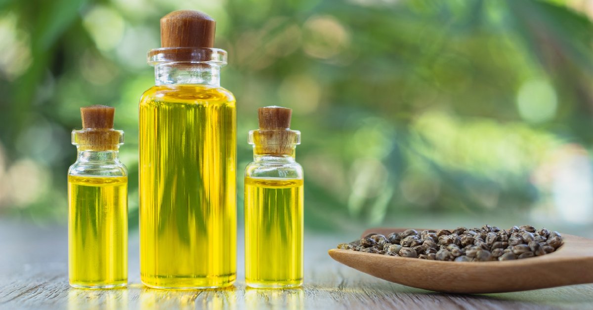 Olive Oil vs. Seed Oil: Which One is Healthier?