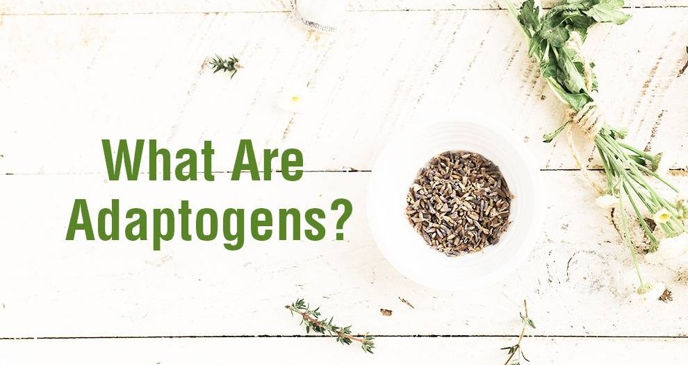 What are Adaptogens and Why Should You Care?