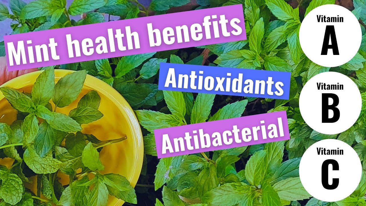 8 Mind-Blowing Health Benefits of Mint 8 Mind-Blowing Health Benefits of Mint