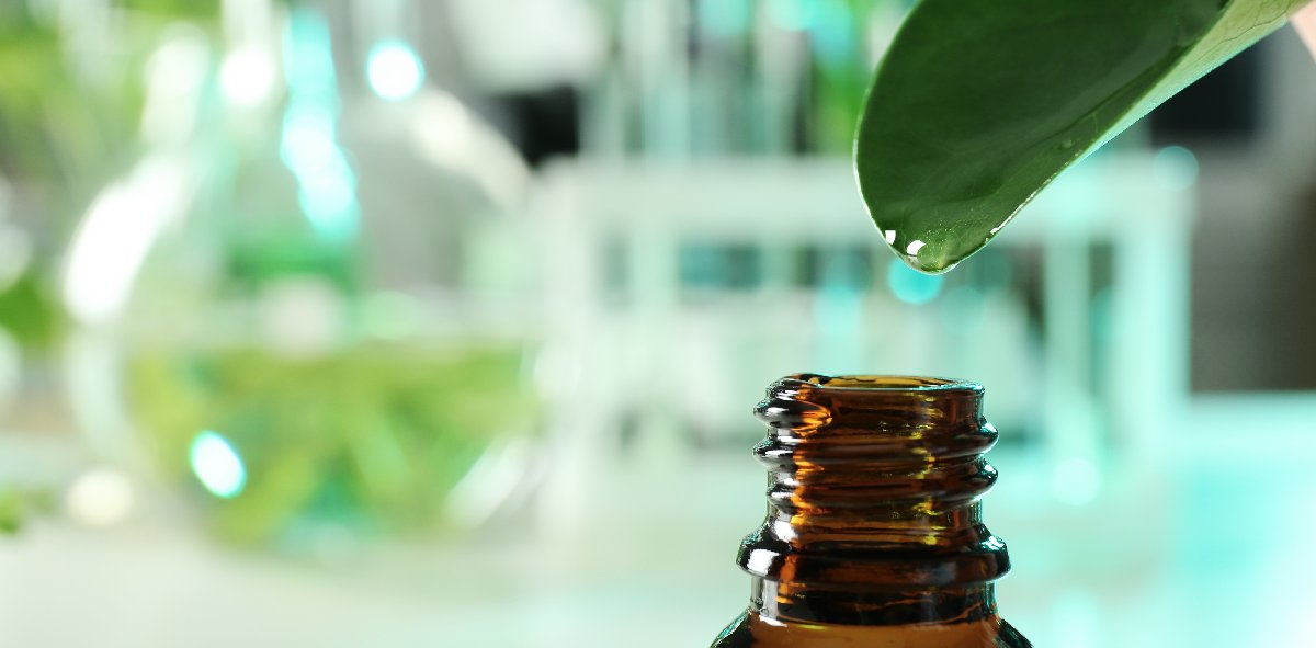 7 Tea Tree Oil Benefits That Can Change Your Life 7 Tea Tree Oil Benefits That Can Change Your Life