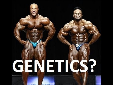 genetics-bodybuilders
