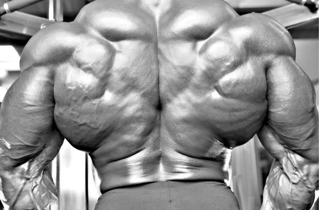 The Fear of Losing Muscle Mass